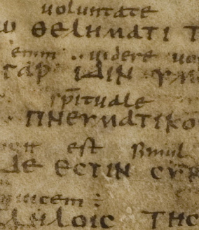 codex Boernerianus-epistolarumPaulinarumf12